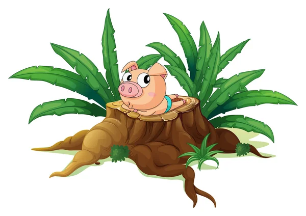 A pig lying down above the wood — Stock Vector