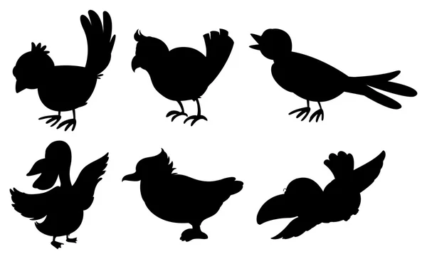 Siluetas de aves — Vector de stock