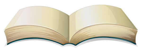 Пустая толстая книга
