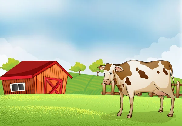 A cow in the farm with a barn house — Stock Vector