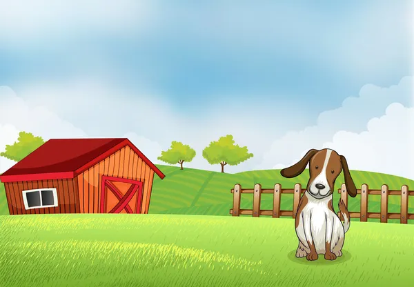 A puppy in the farm — Stock Vector