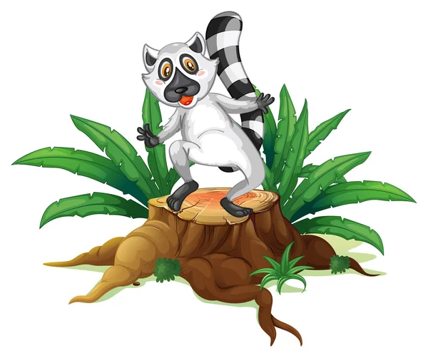 A playful lemur above the wood — Stock Vector