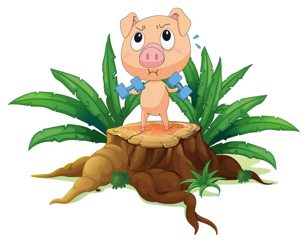 A pig exercising above the stump — Stock Vector
