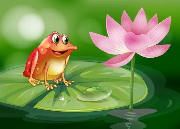 Een kikker boven de waterlily naast een roze bloem — Stockvector