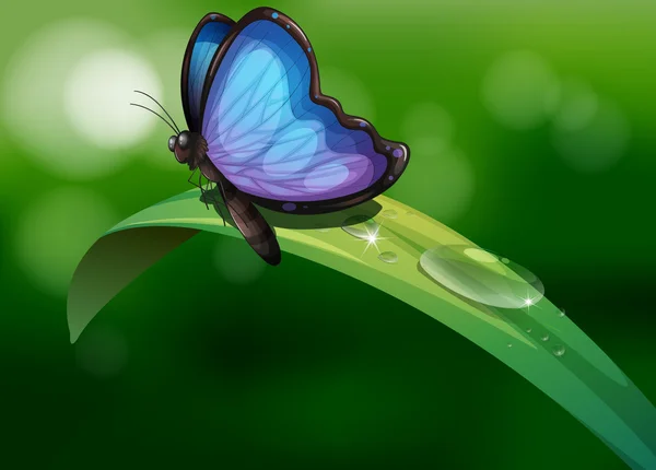 En blå fjäril ovanför ett blad — 图库矢量图片