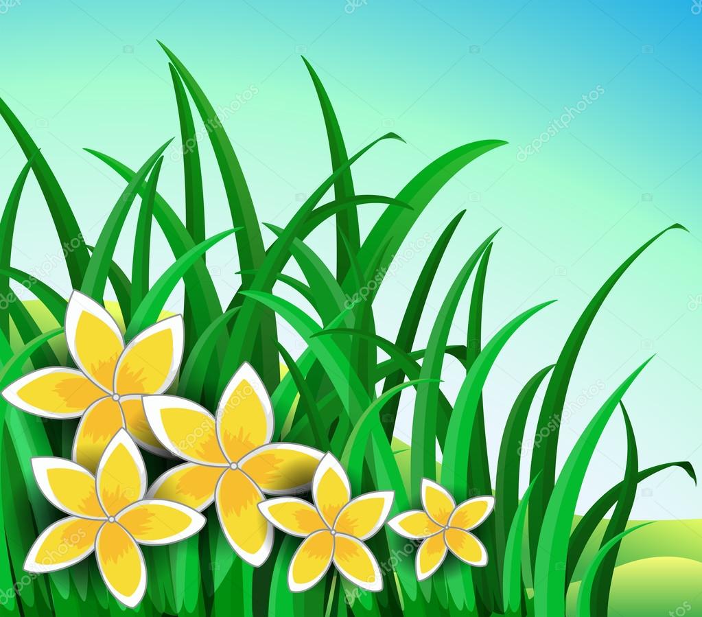 Illustration d\u0027un jardin avec grandes fleurs jaunes \u2014 Vecteur par