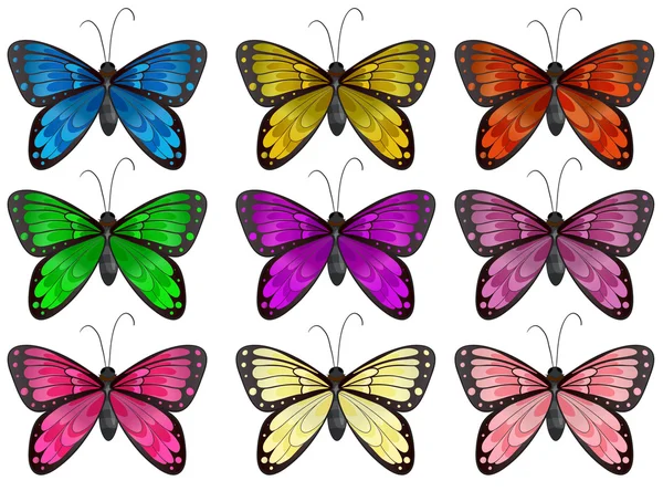 Kupu-kupu dengan warna yang berbeda - Stok Vektor