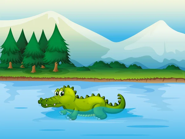 An alligator in the river — Stock Vector