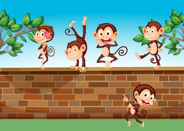 Çitte oynarken beş maymun — Stok Vektör