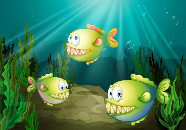 Τρεις piranhas κάτω από τη θάλασσα με φύκια — Διανυσματικό Αρχείο