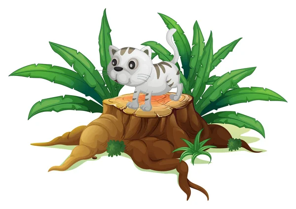 A cute cat on a stump with leaves — Stock Vector