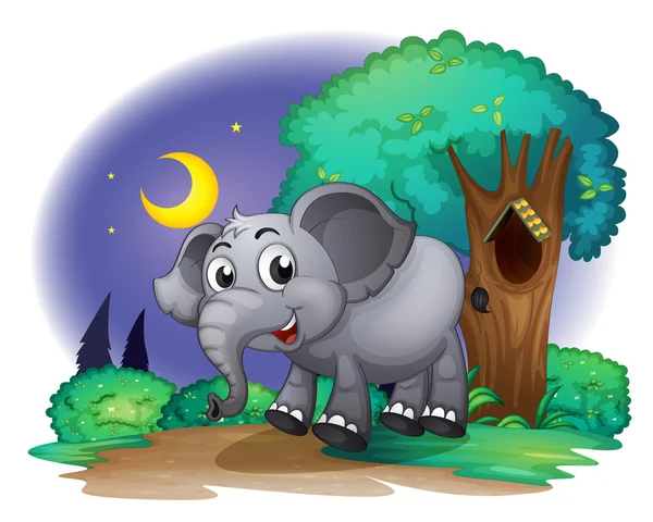 Un elefante en el bosque — Vector de stock