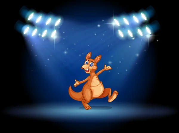 A kangaroo under the spotlights — Stock Vector