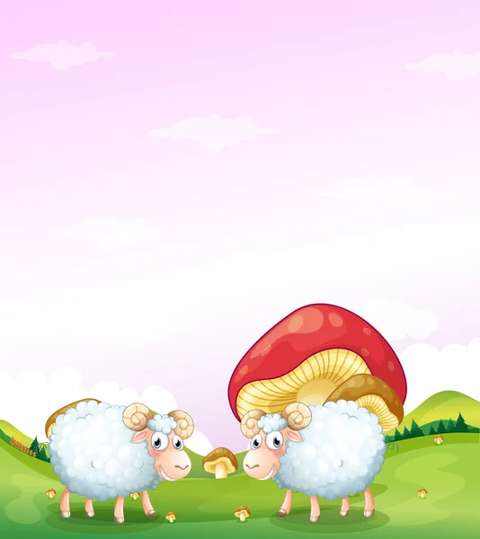 Twee sheeps op de heuvel met paddestoelen — Stockvector