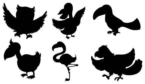 Silhouette dei diversi tipi di uccelli — Vettoriale Stock