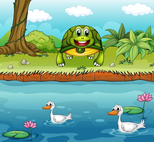 Una tortuga junto al río con patos — Vector de stock