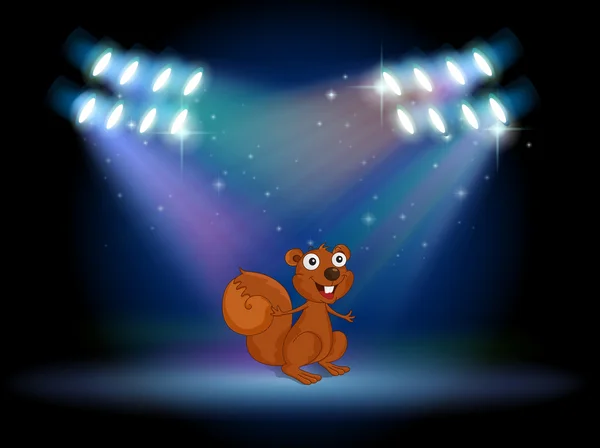 A squirrel at the stage with spotlights — Stock Vector