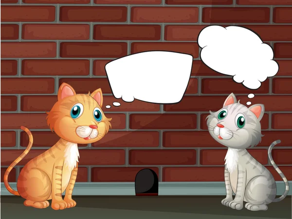 Δύο γάτες με άδειο επεξηγήσεις — Διανυσματικό Αρχείο
