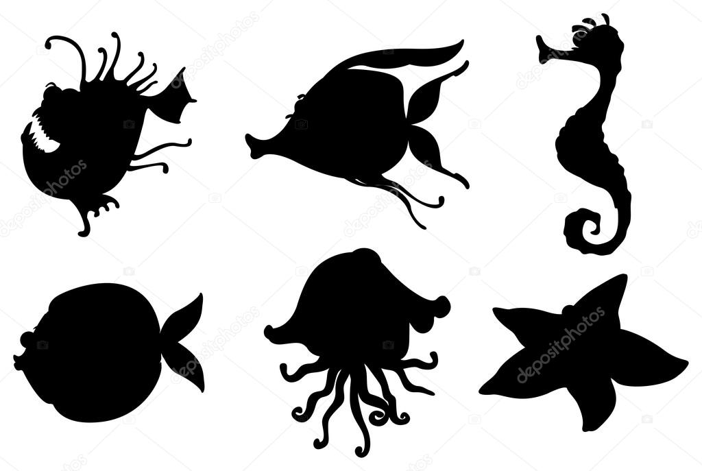 Silhouettes of sea creatures