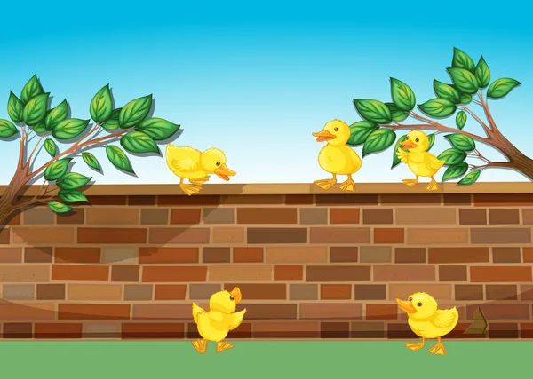 Bir duvar ile beş ördek yavrusu — Stok Vektör