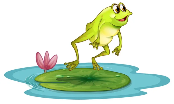 A frog at the pond — Stock Vector