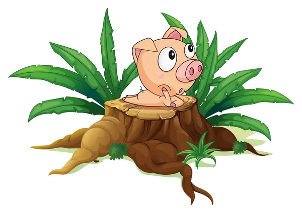 A stump with a fat pig — Stock Vector