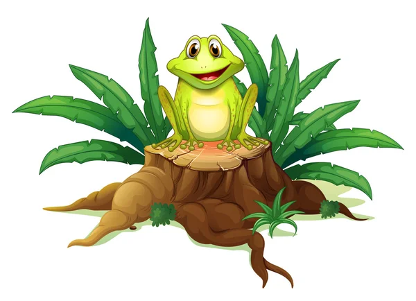A stump with a frog — Stock Vector