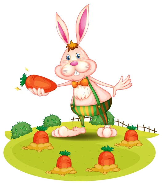 Un conejo en la granja con zanahorias — Vector de stock