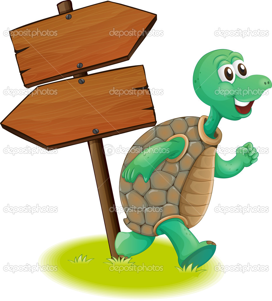 A turtle beside the wooden arrowboards