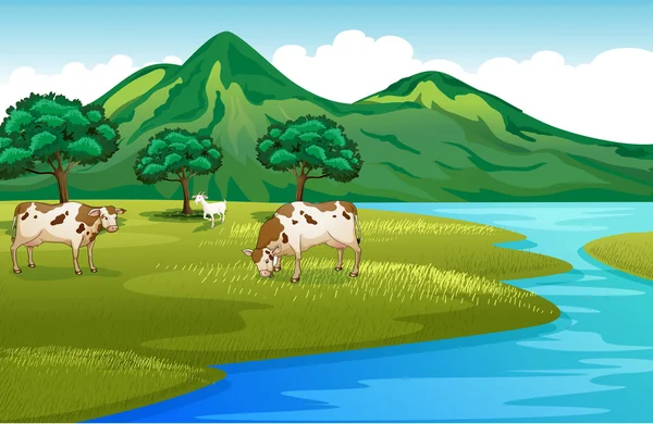 Vacas e cabras na margem do rio Ilustrações De Stock Royalty-Free