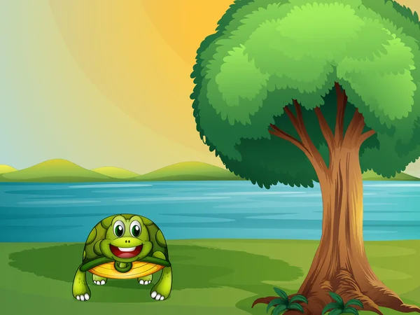 A turtle beside a tree at the river — Stock Vector