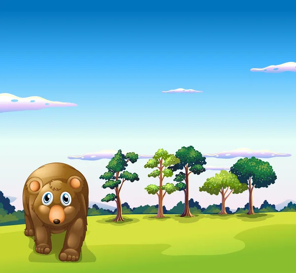A big brown bear walking — Stock Vector