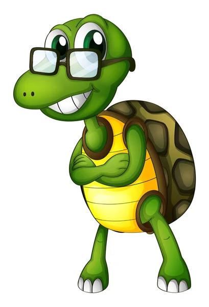 Żółw stojący z okularów — Wektor stockowy