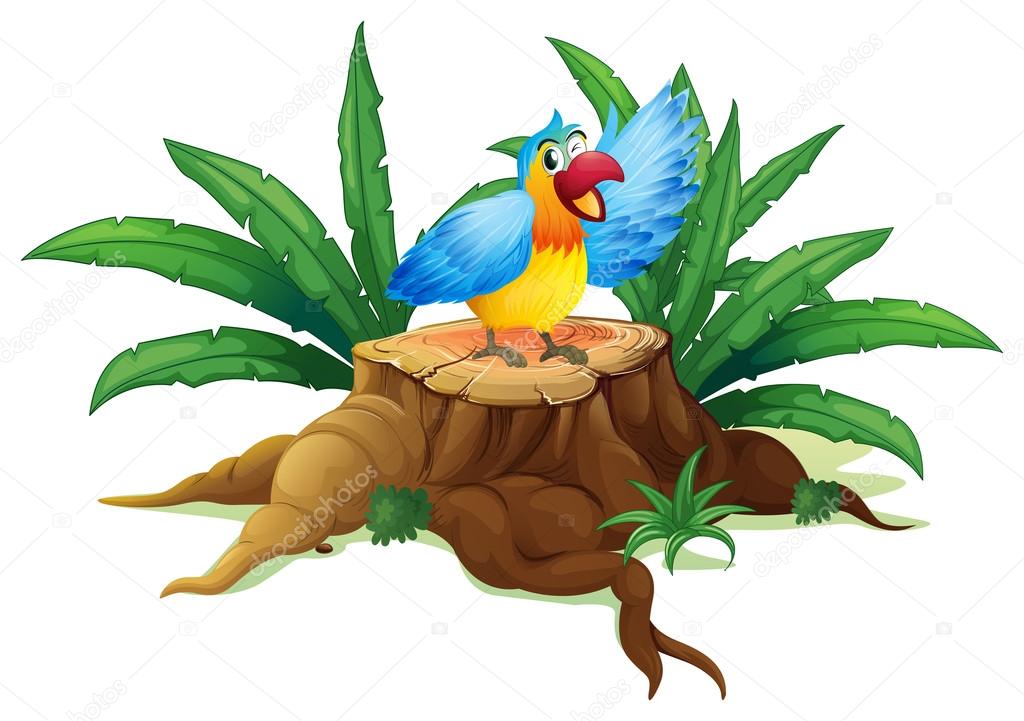 A colorful parrot above a stump