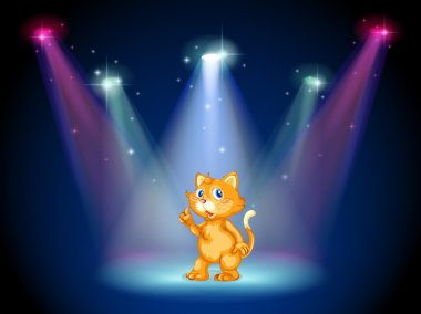 A cat in the middle of the stage under the spotlights
