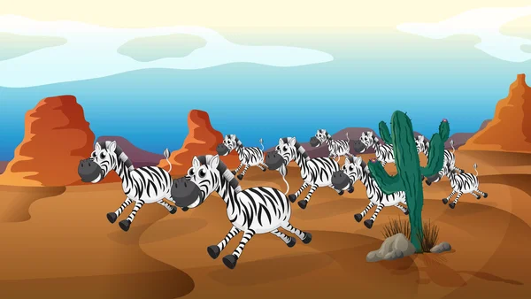 Grupa zebra uruchomiony na pustyni — Wektor stockowy