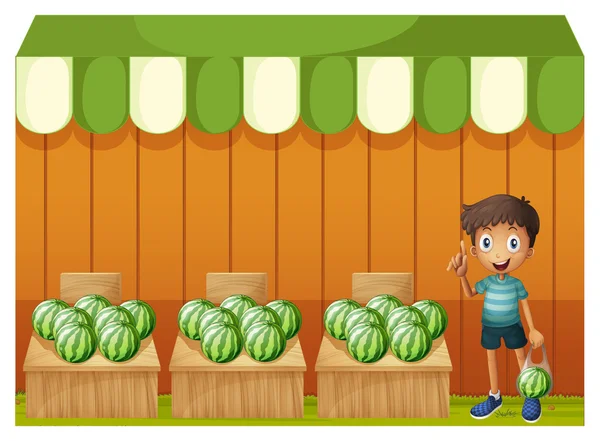 A kid at the watermelon fruitstands — Stock Vector