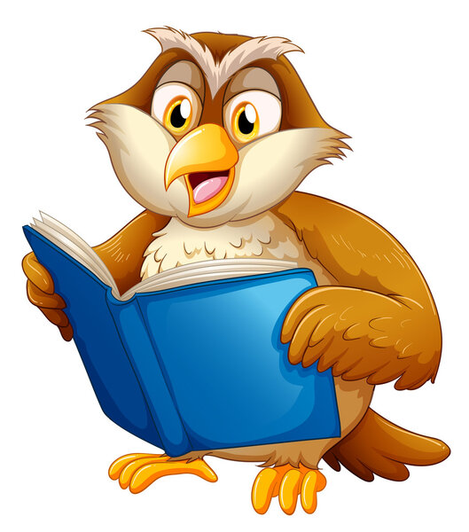An owl reading