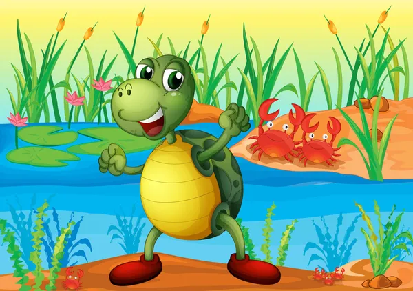A turtle in the pond with two crabs at the back — Stock Vector