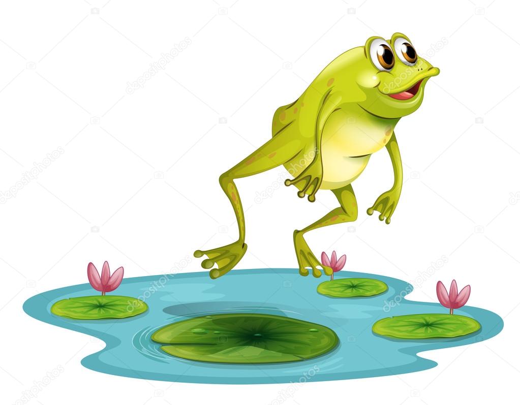 A jumping frog at the pond — Stock Vector © interactimages 26162575