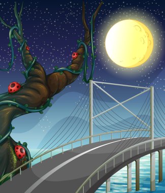 nehir kenarında hata ile ağaç üzerinde bir yol