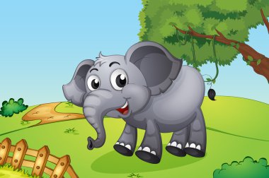 bir fil tahta çitin içine atlama