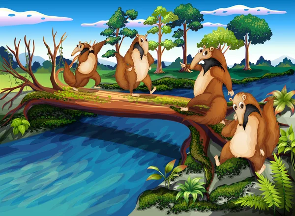 Quatre animaux sauvages ludiques traversant la rivière — Image vectorielle