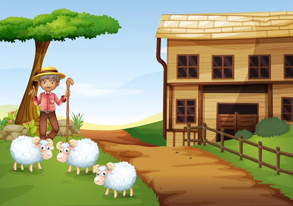 An old man at the farm with three sheeps — Stock Vector