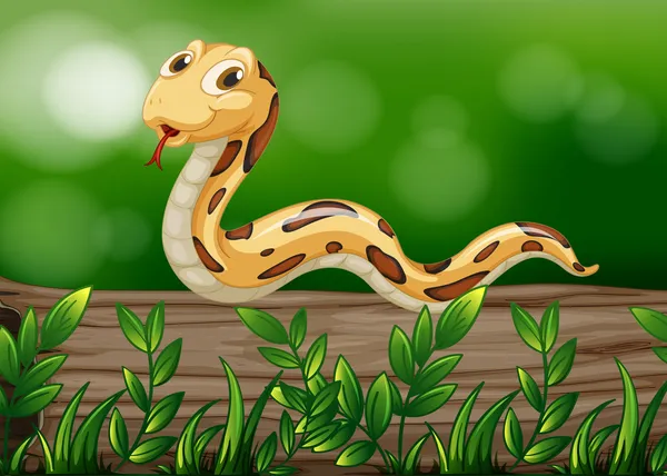 Un serpent au-dessus d'un bois — Image vectorielle
