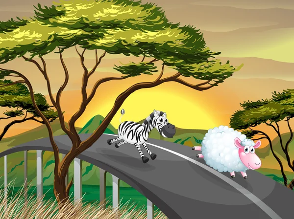 Uma zebra e uma ovelha correndo na estrada —  Vetores de Stock