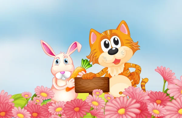Een konijntje holding een wortel en een kat met een leeg bord — Stockvector