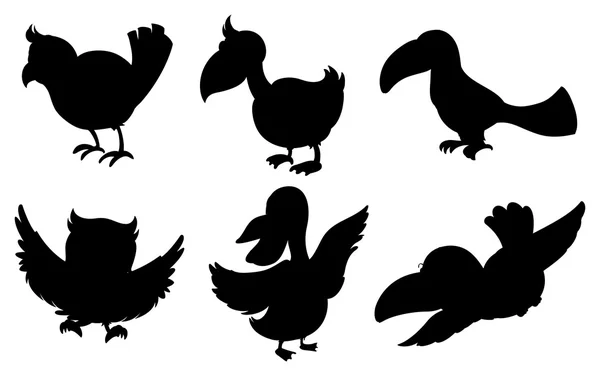 Silhouettes of birds — Stock Vector