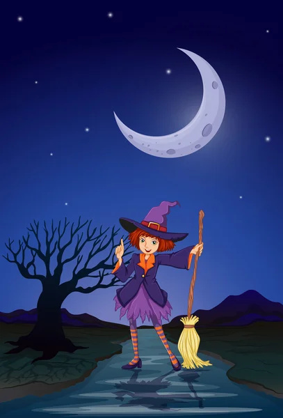 Une sorcière sur la route en pleine nuit — Image vectorielle