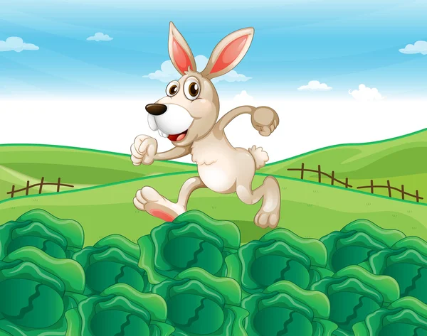 Um coelho correndo na fazenda —  Vetores de Stock